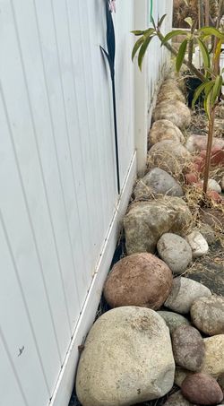 Free large rocks!