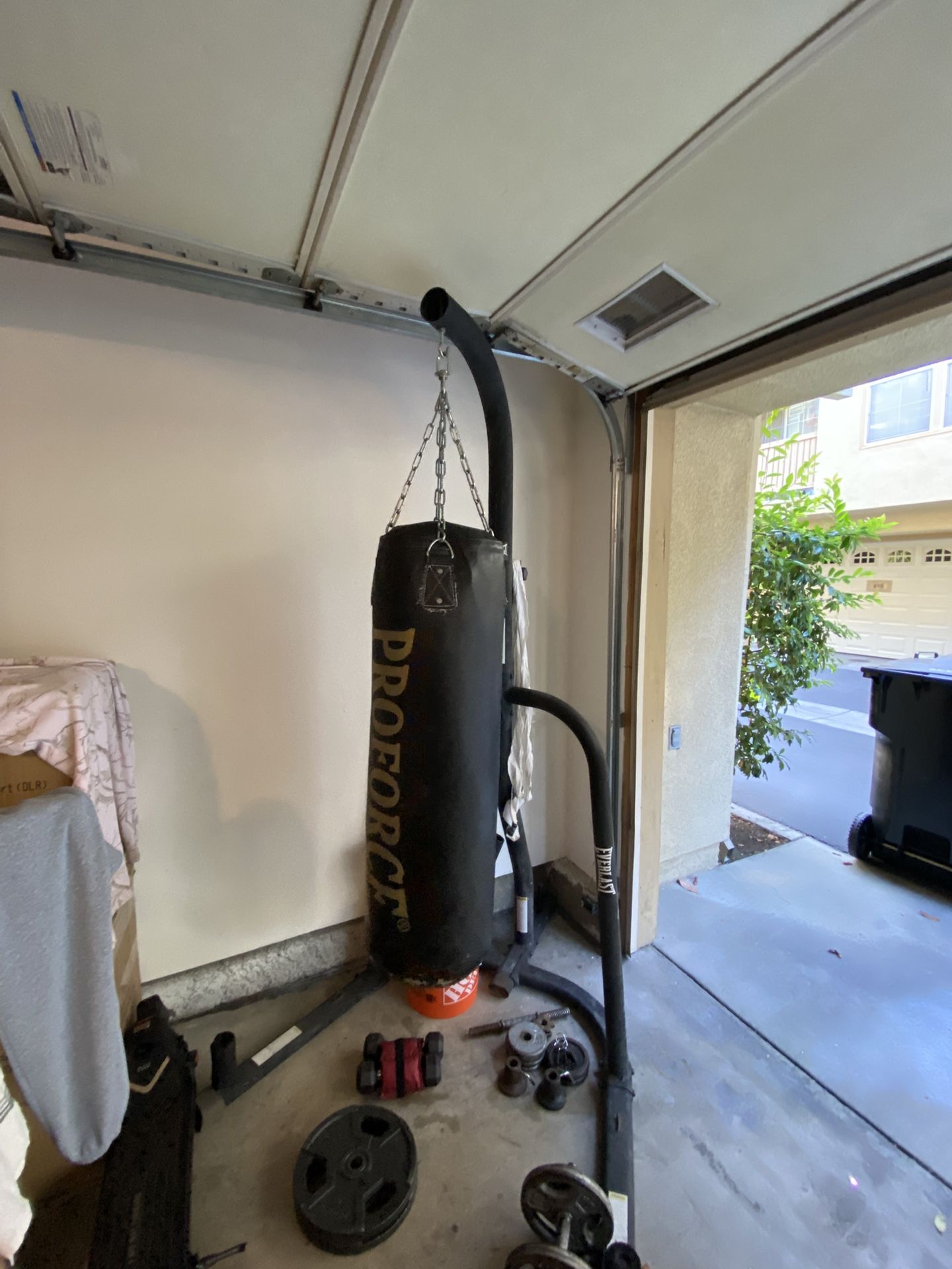 Ever last Punching Bag