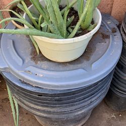 So Many Different Planters Available For Sale Plasic Plant Potters Buckets Garden