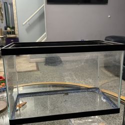 10 Gallon Fish Tank W/ Decor/ Accessories 