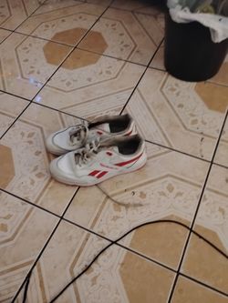 New Reebok just got to change shoe strings