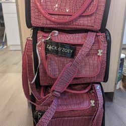 Pet Carrier For New Puppy Or Kitten 
