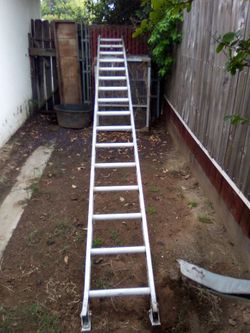 Ladder
