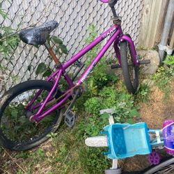 Mongoose 20 Inch Kids Bicycle
