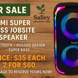 Portable speaker 