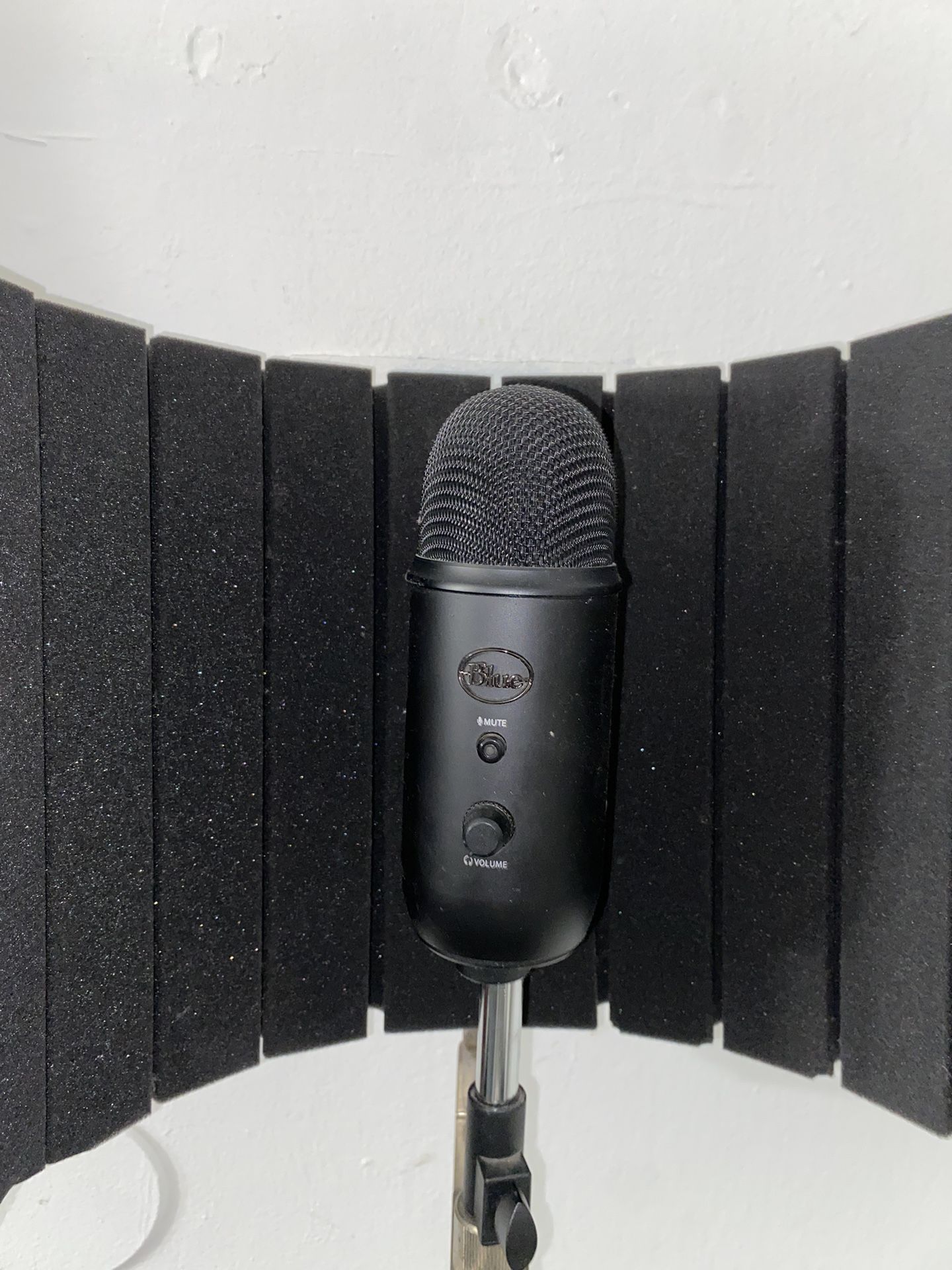 Recording Mic & Stand