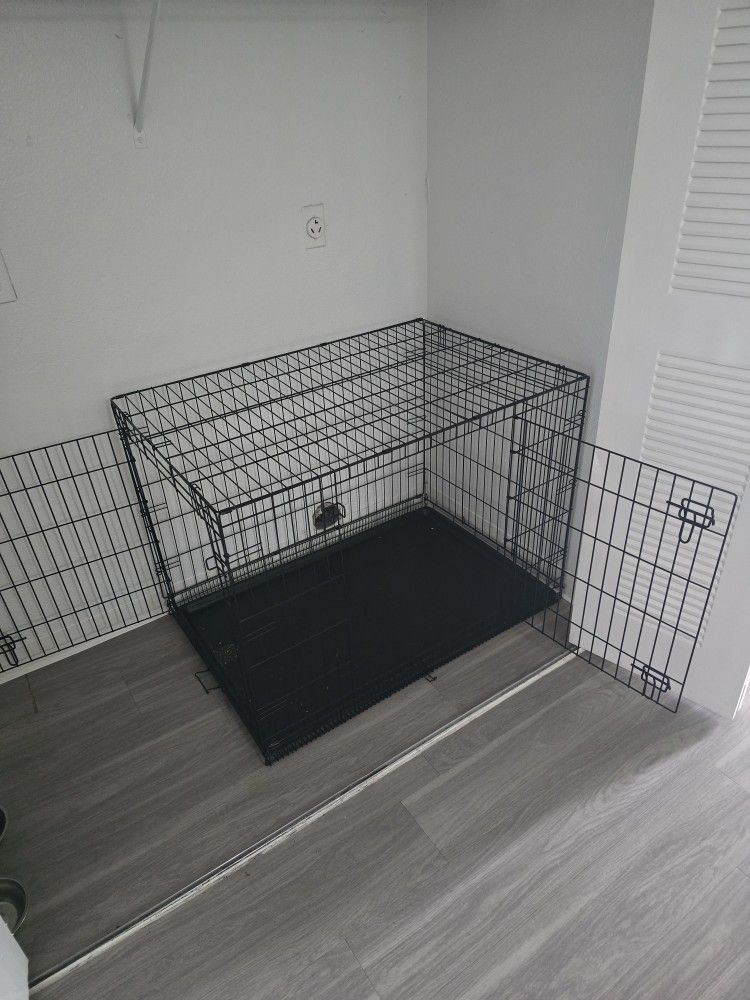 Dog Cage