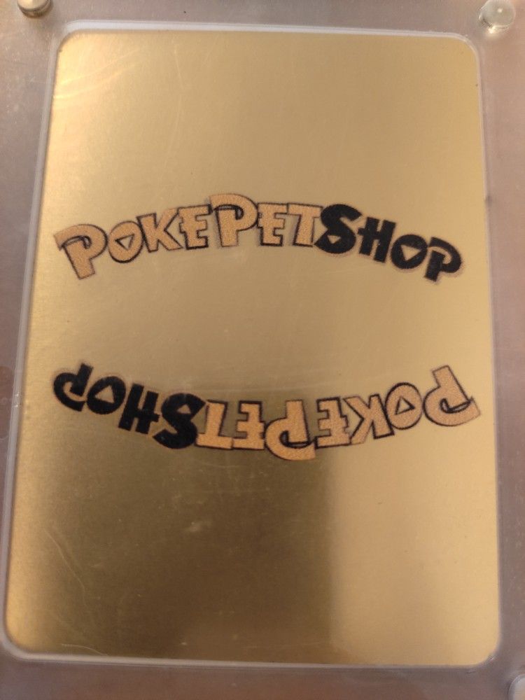 Pokemon Card In Protective Case Poke Pet Shop Lucy 110 HP Card