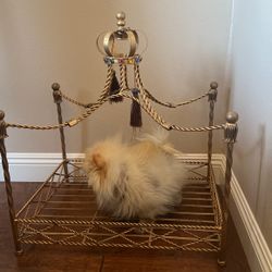 Pet Luxury Bed