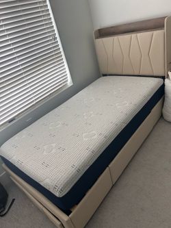 Twin bed available  June 20th