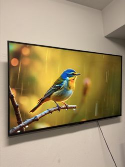Sony 70” smart tv