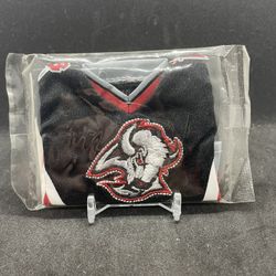BUFFALO SABERS UPPER DECK MINI HOCKEY JERSEY