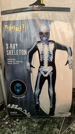 X-RAY Skeleton