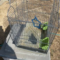 Birds Cage