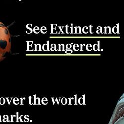 American Museum Of Natural History Tickets