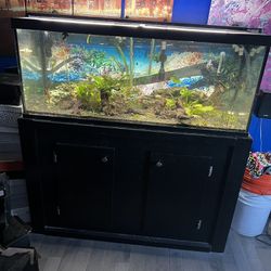 75 Gallon Tank With Lots Of Extras