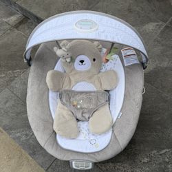 Vibrating Baby Bouncer (Ingenuity)