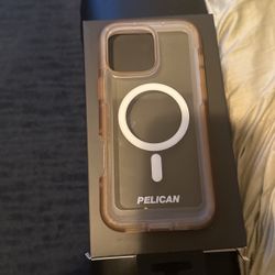 iPhone 16 Pro Max Case