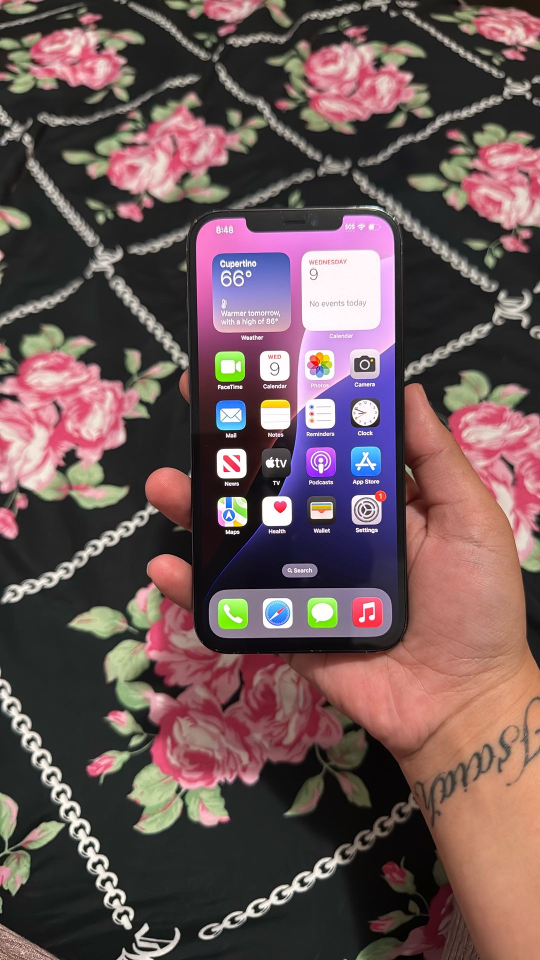 iPhone 12 Pro Max