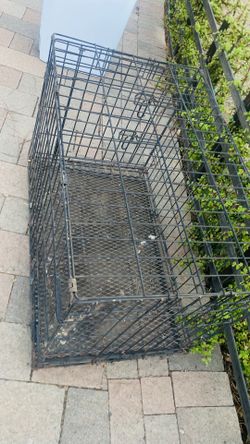 CAGE DOG