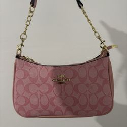 Cute Pink Coach Bag 