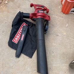 Leaf Blower/vacuum 