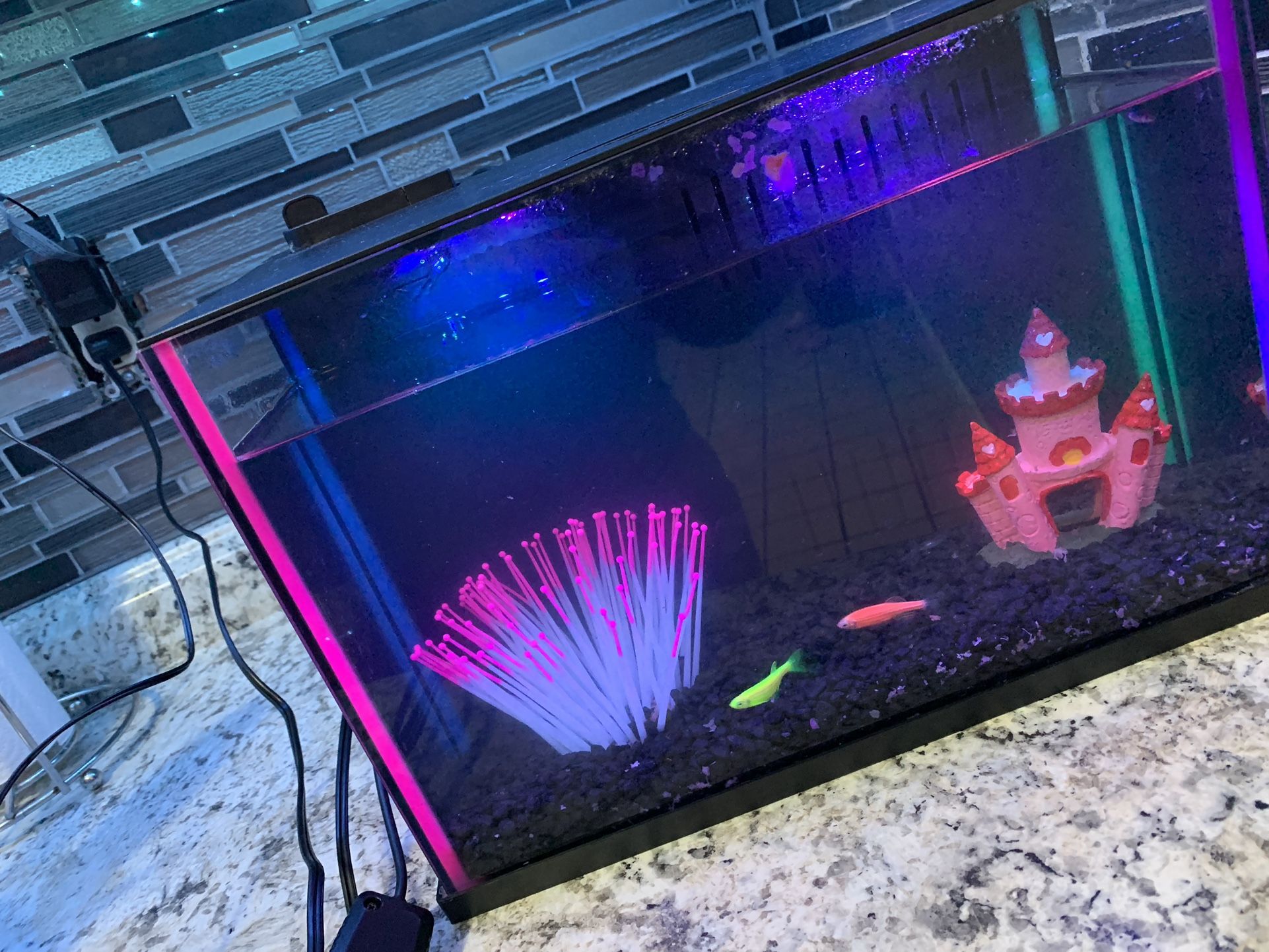 Color Led Fish Tank