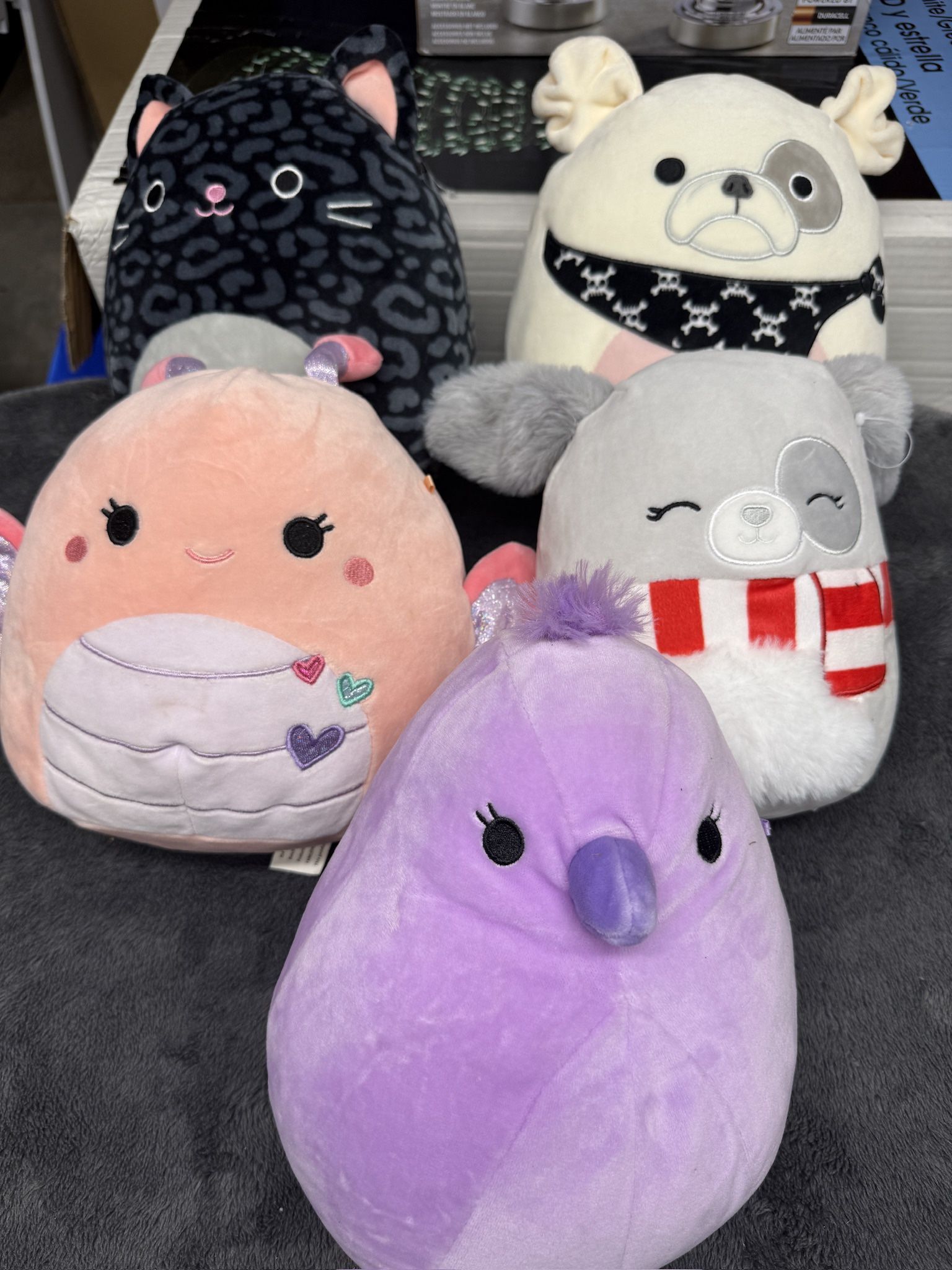 Bundle of Five 8” Squishmallows on good shape!