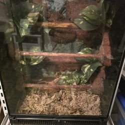 Bioactive Enclosure 