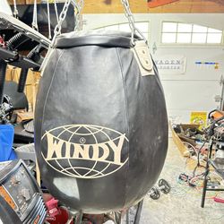 Windy Boxing/ Thai/kickboxing Punching Bag/ Uppercut