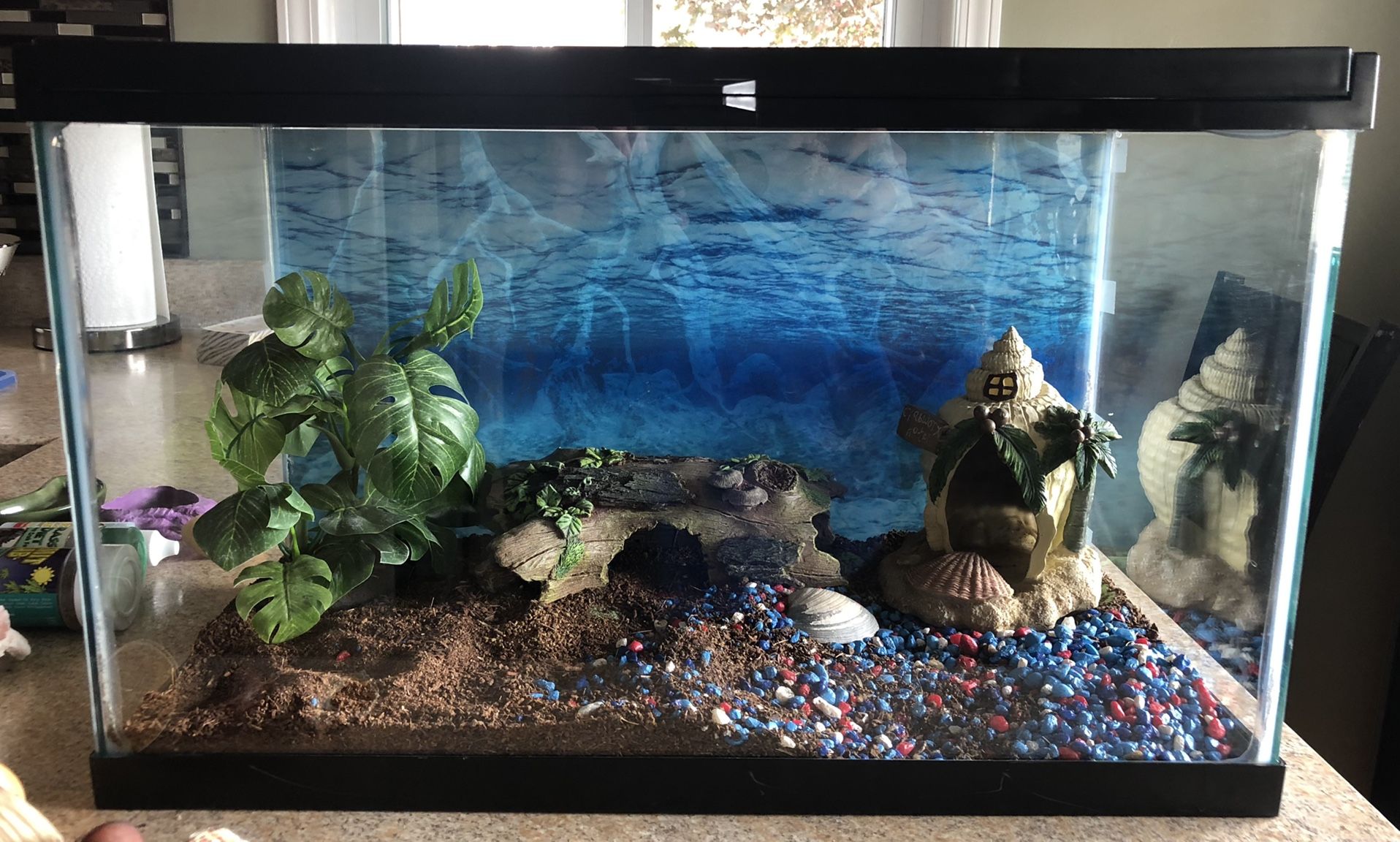 Hermit Crab Tank and supplies