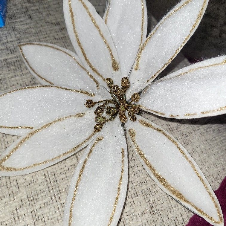 Free Free Free • 1 only