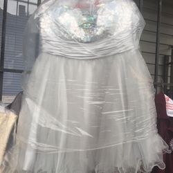 Formal Prom Cotillion Dresses XL