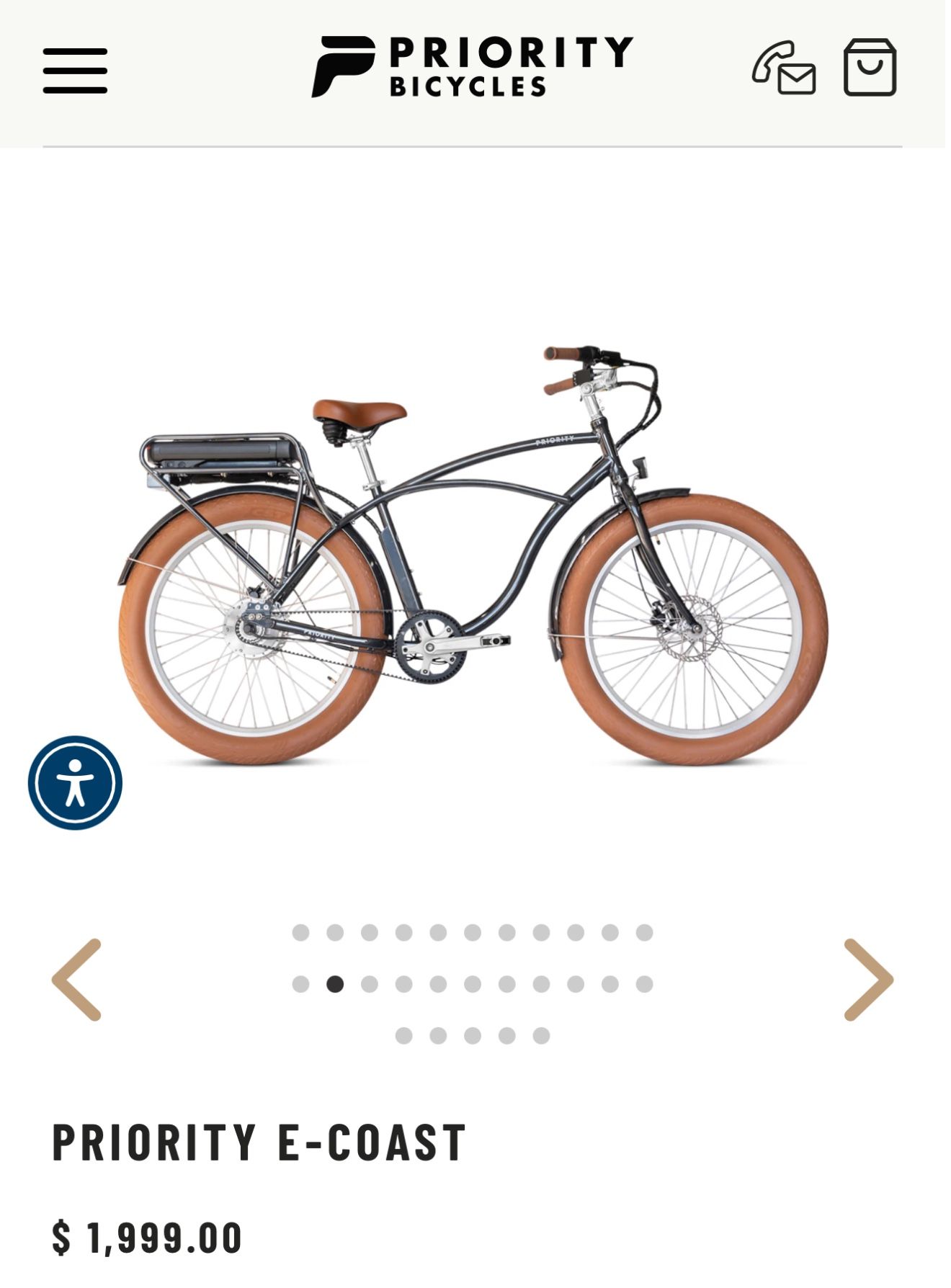 Priority Electric Beach Cruiser