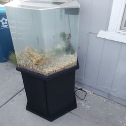 50 Gallon Octagon Acrylic fish tank aquarium with stand and filter