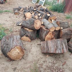 FIREWOOD!-......