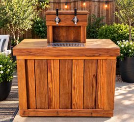 Kegerator/ home brewing system
