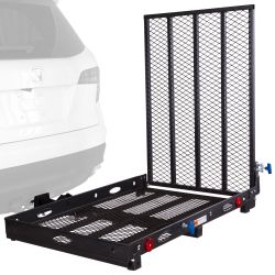 Ramp With Swing Arm And Accessories