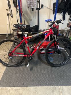 Bicycle/ Bicicleta