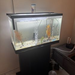 30 Gallon With Fluval Light 