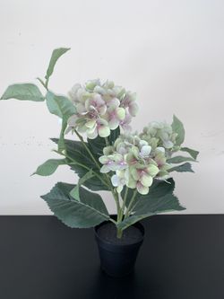 Flower 🌺 all year long -artificial