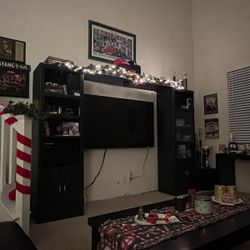 Entertainment media center