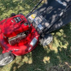 Máquina De Cortar Pasto