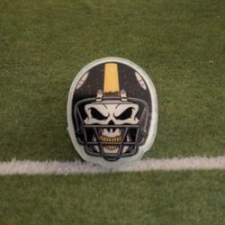 NFL Pittsburgh Steelers Pop Socket