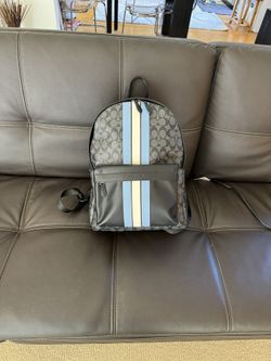Coach Luxury Bag