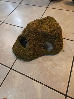 Reptile Moss Hide