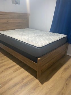 Cama