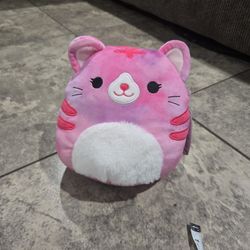 Caeli the Pink/Purple Tie-Dye Tabby Squishmallows 8-inch