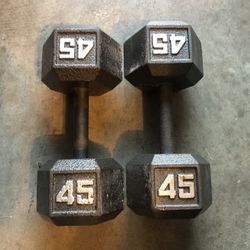 Pair of 45 Lb Steel Pair 