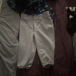 Baseball Short Pants Mizuno Gray